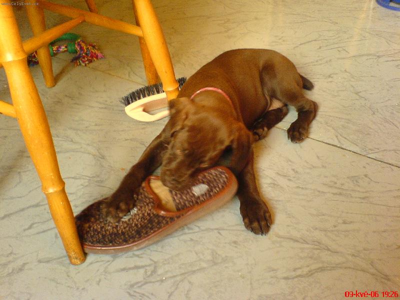 Foto: j� to zni��m