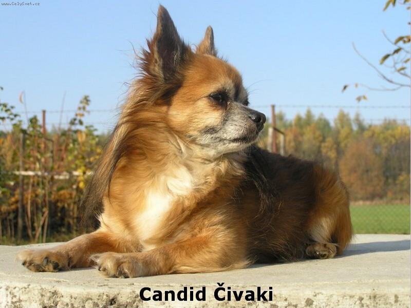 Foto: Desetilet� Kub�k