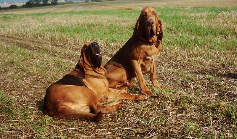 Foto: Famous Alhavant-vnuk na n�v�t�v� za babi�kou