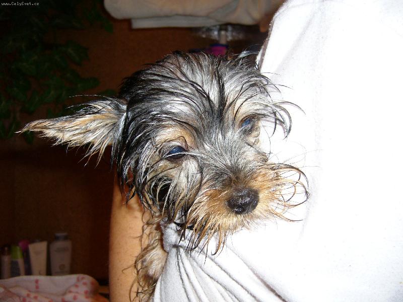 Foto: Mokr� Ennynka-Mokr� Ennynka