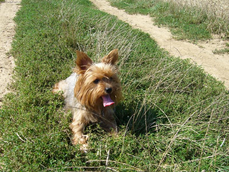 Foto: Peggynka-Peggynka