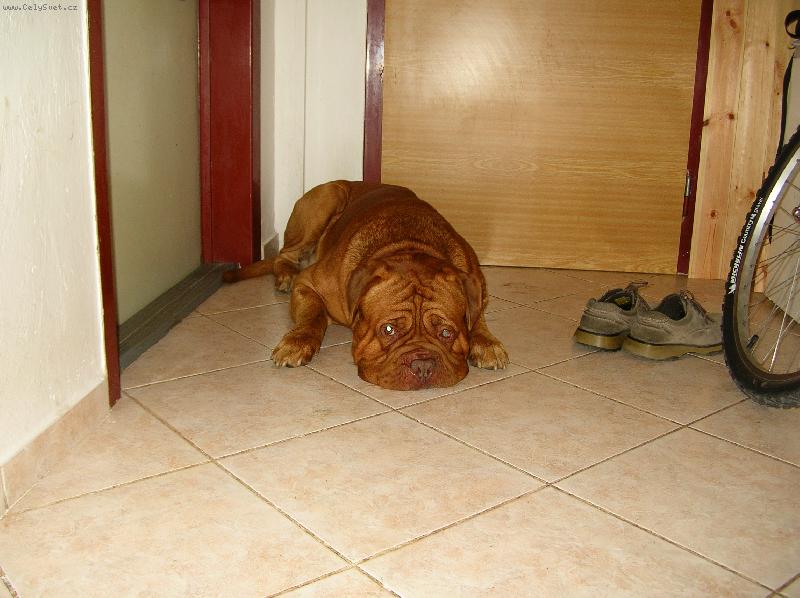 Foto: Dag, le��c�, sp�c�