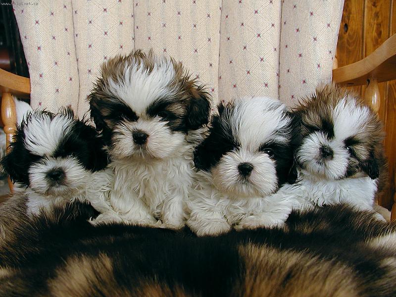 Foto: �t���tka na�� Valdy-Bylo n�s 6, ale v�ichni jsme se na fotku neve�li