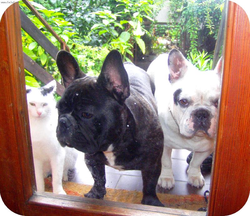 Foto: Tak pust�n�s pani�ko.