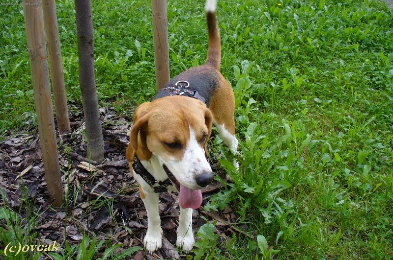 Foto: Endy z Gagarinky-Tak to je Endy z Gagarinovy ulice v Liberci