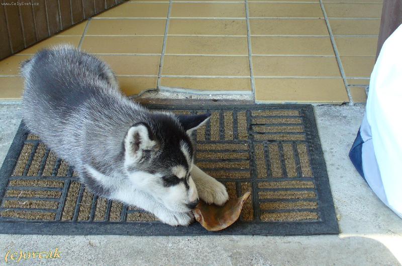 Foto: Lavina-Moje Lavinka