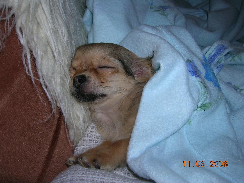 Foto: Dorotka-To se to dob�e spink�!!!