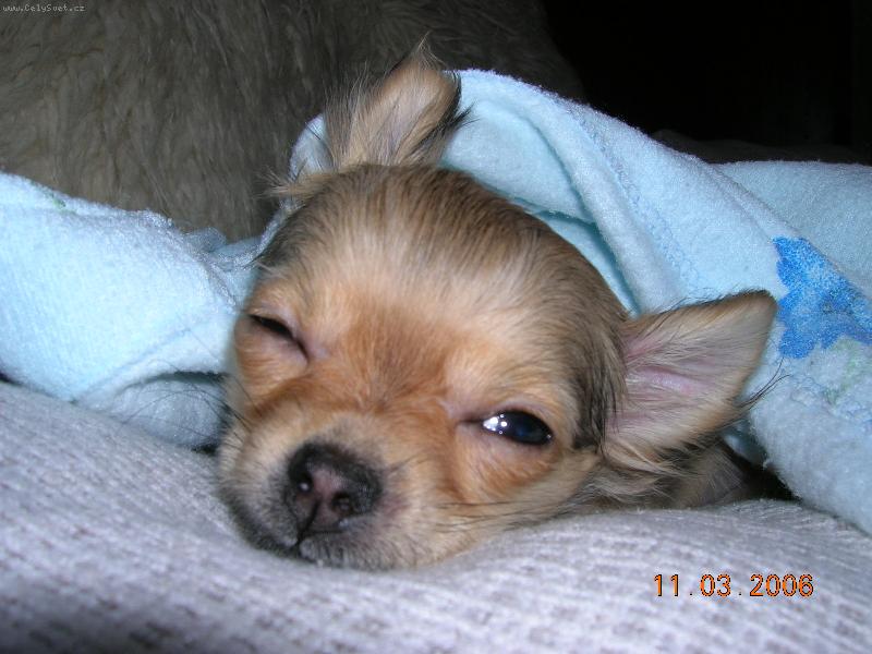 Foto: Dorotka-Pro� m� bud�te?????