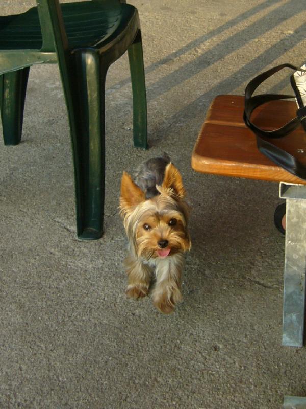 Foto: MIA z D���na-dala bych si pifko:-)