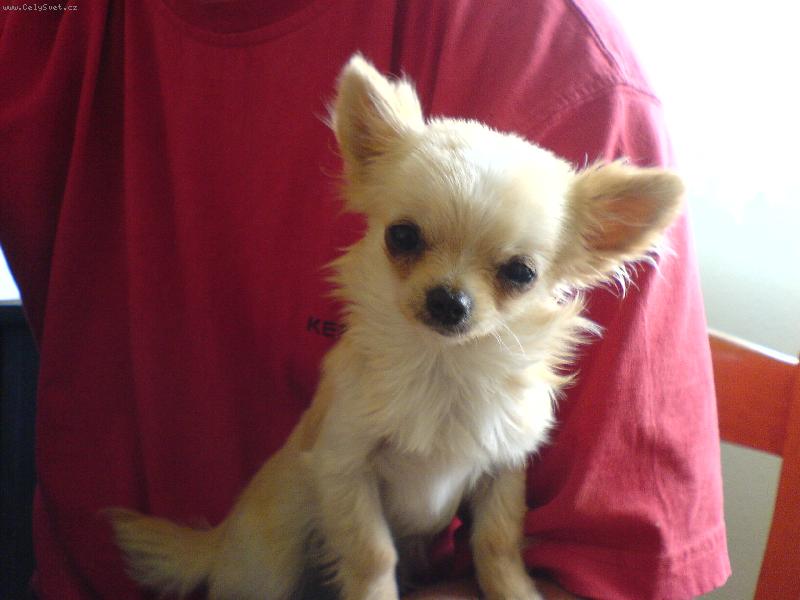 Foto: �imonek-�imonek