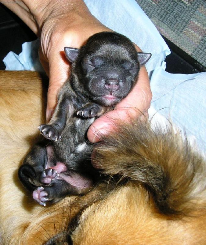 Foto: �erstv� na sv�t�