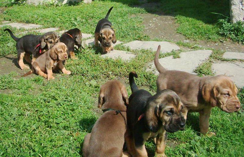 Foto: Famous Alhavant-m�me m�s�c a je s n�mi velk� sranda