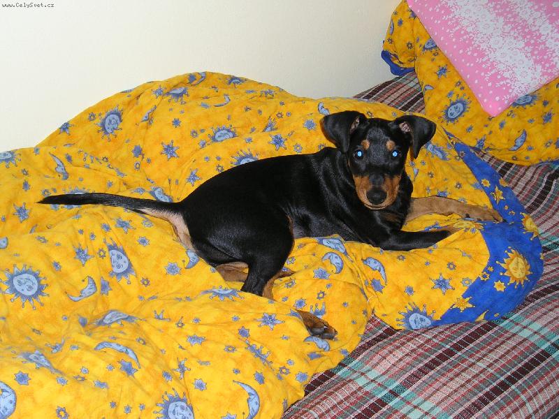 Foto: V ciz� pot�lce je v�dycky nejl�p