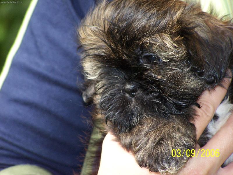 Foto: Kira-Kira na proch�zce