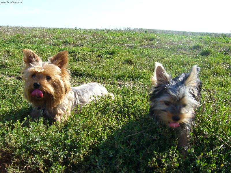 Foto: Ennynka+Peggynka-holky na vych�zce :-)