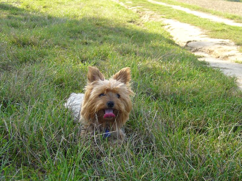 Foto: Peggou�ek-Leh�rko v travi�ce !!