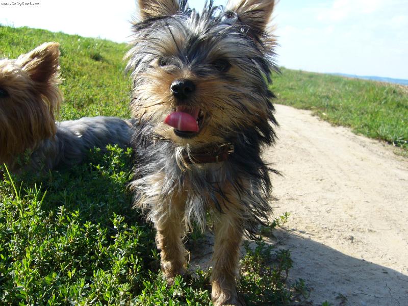 Foto: Ennynka-kuk =)