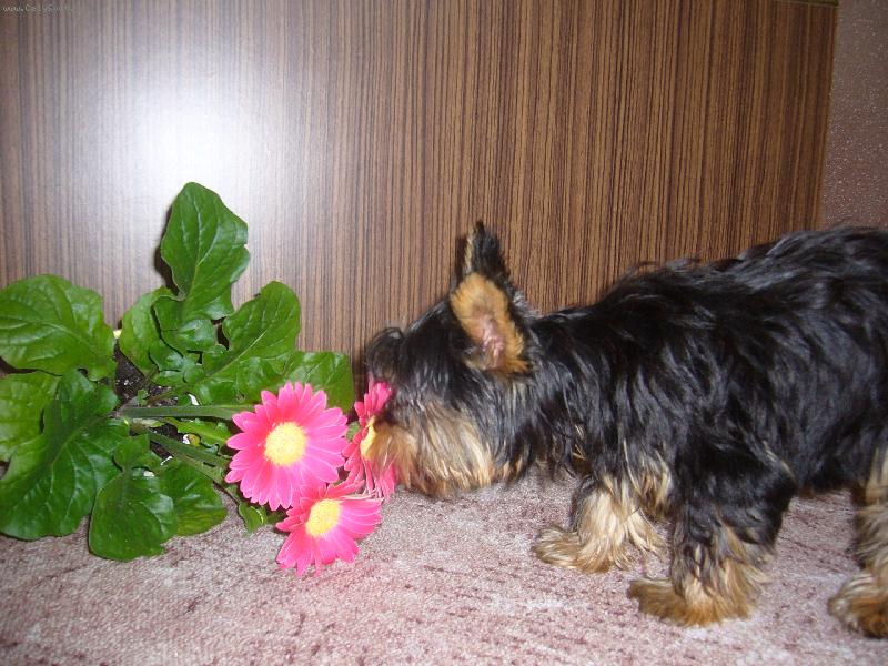 Foto: hmmmmmmm to to von�!!!