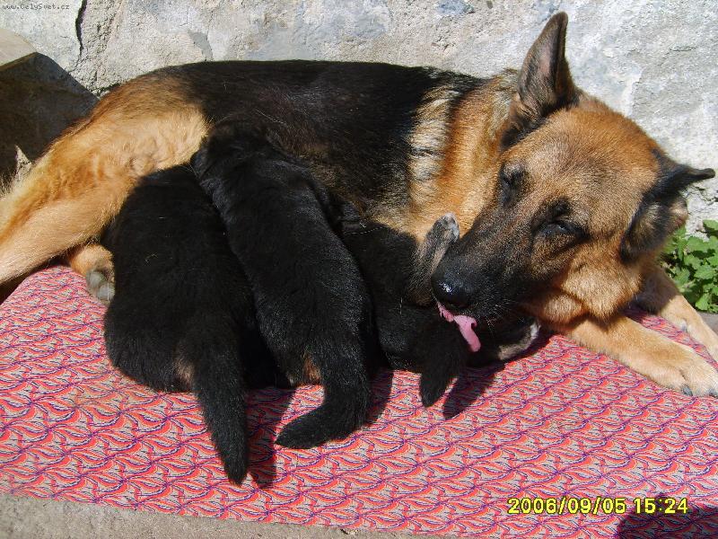 Foto: Eli�ka a �t�nata,prvn� opalov�n�