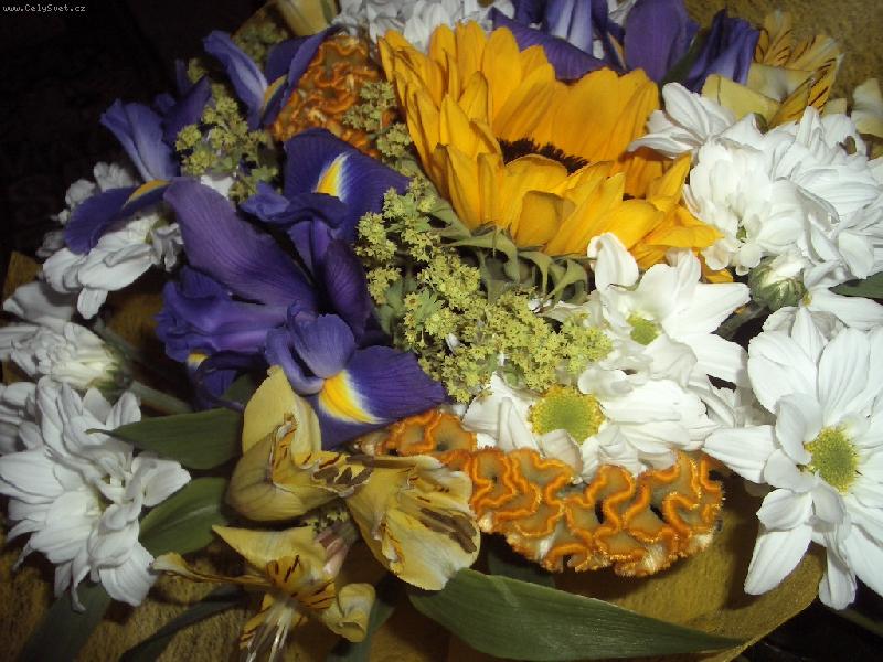 Foto: zluta Kallisia-Kytice k svatku