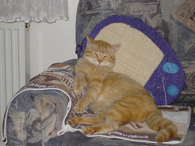 Foto: n�kdo m� vyhodil - jsem evropan????-snad si m� nechaj�