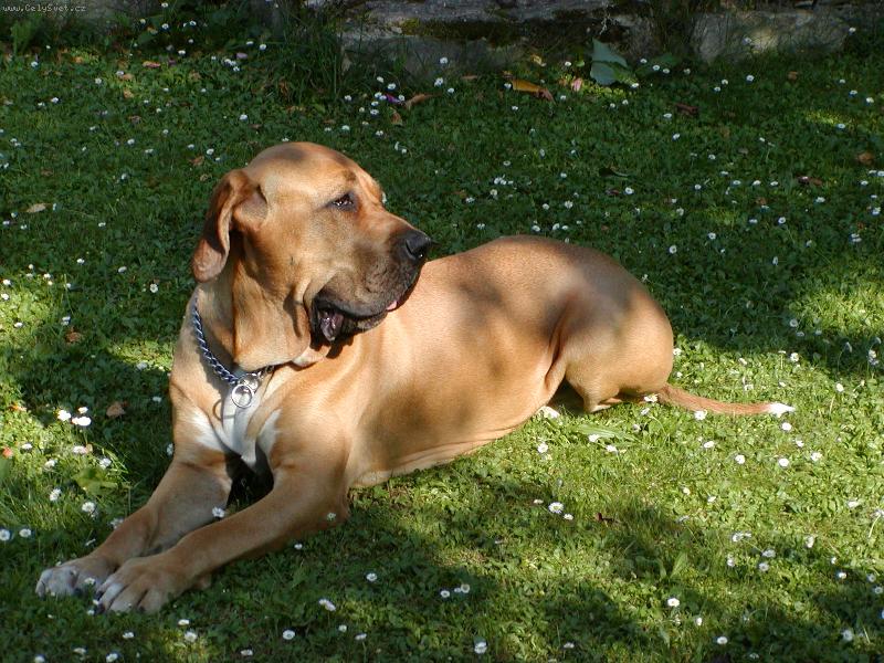 Foto: Osana Str�nick� R�j-3 roky - u� jsem velk� holka