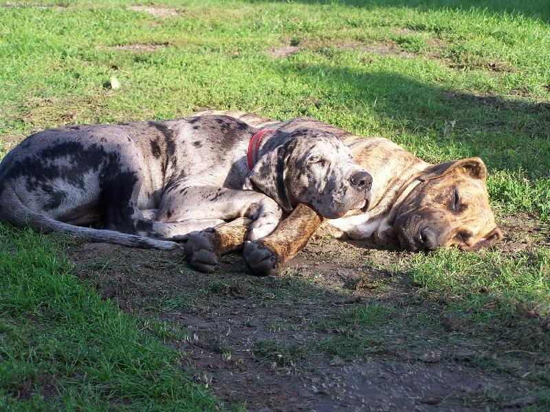 Foto: IGOREK s k�mo�em