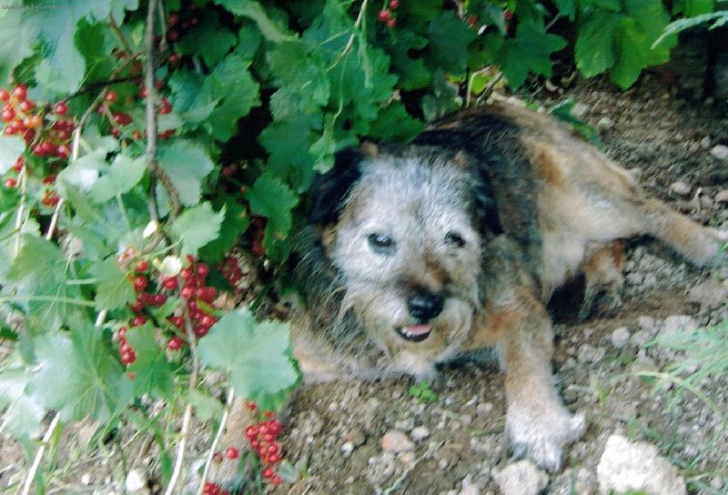 Foto: Tady m� nikdo nenajde....-HASAN