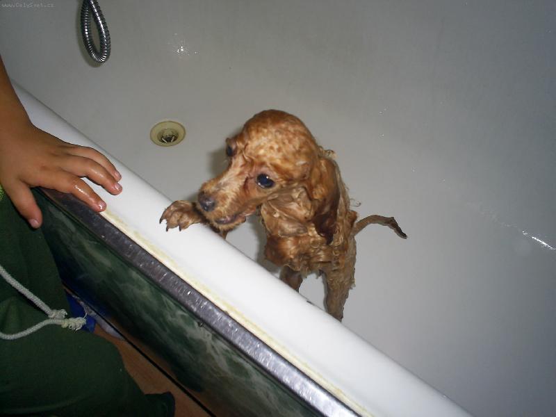 Foto: Zuzi Maria-u� jsem �ist� chci ven