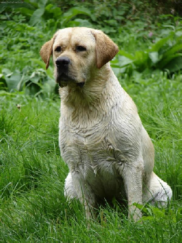 Foto: Ban�sek-Ban�sek u vody