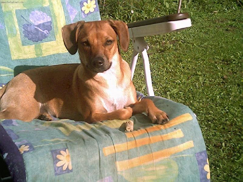 Foto: Darinka-k��enec