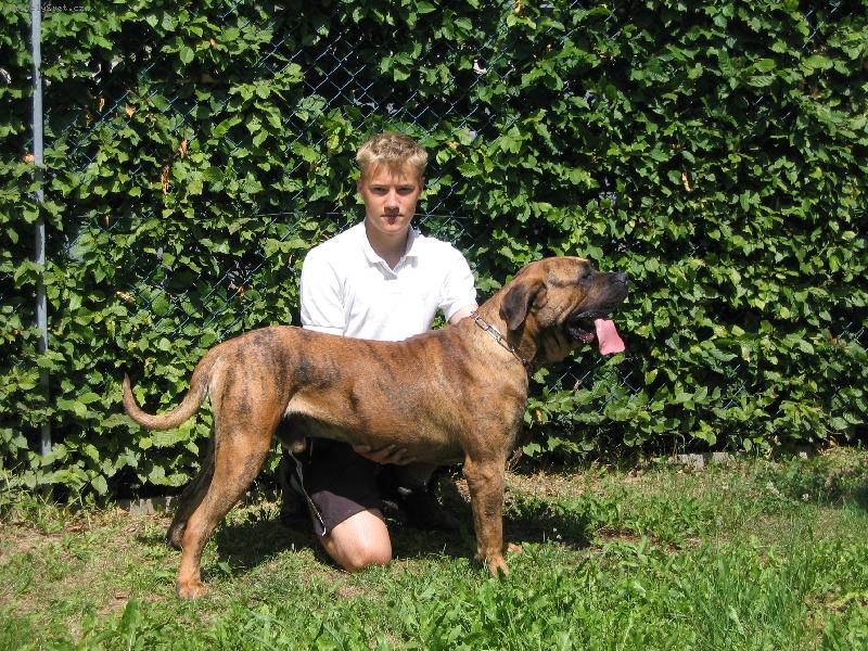 Foto: Keno Chamjan-Toto je n�,na fotce je�te 14-ti m�s��n�,pes...