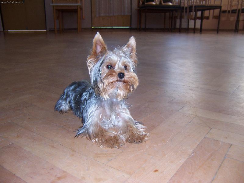 Foto: MIA z D���na-no co, ukl�zela jsem po svatebn� hostin� a jsem unaven�, no...