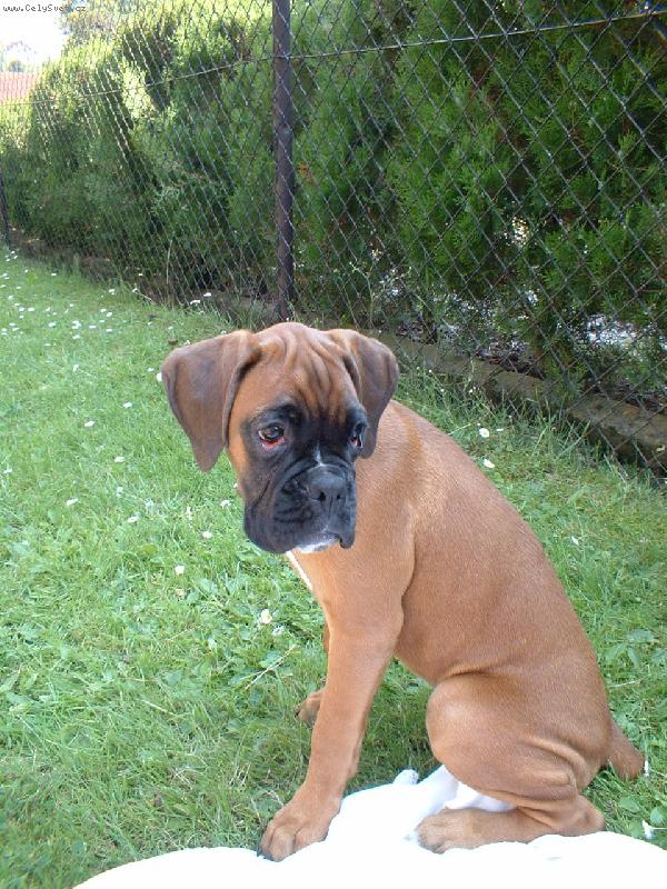 Foto: Barbra-Bonnie-Mil��ek