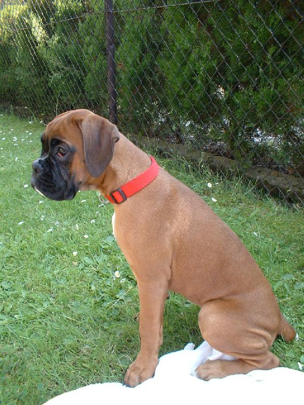 Foto: Barbra-Bonnie-Zlat��ko