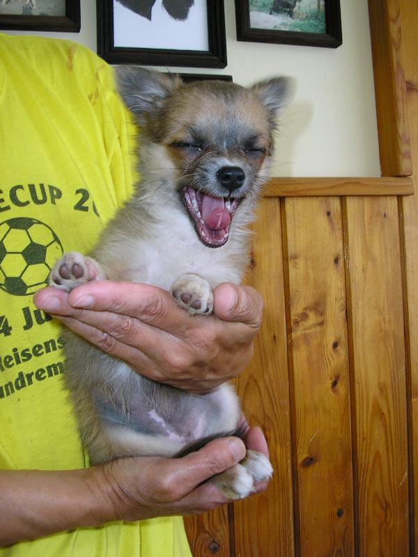 Foto: S��������r