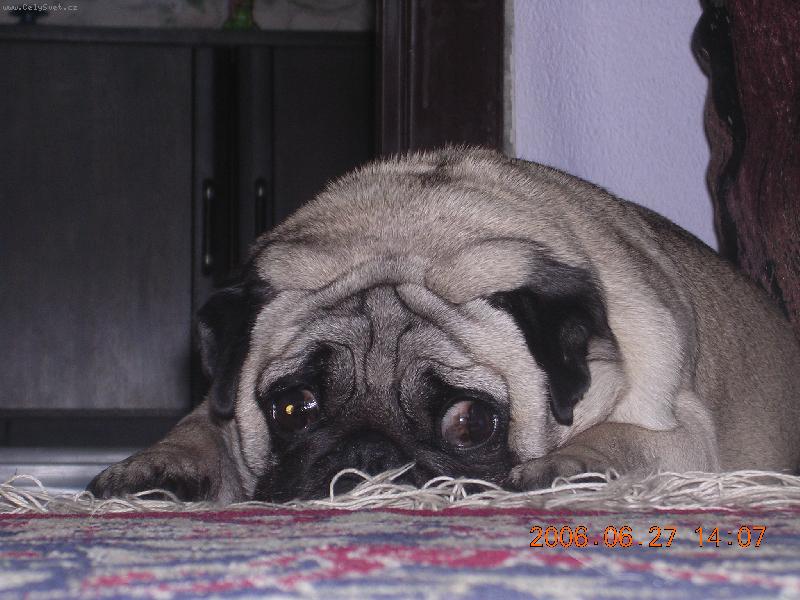 Foto: Maru�ka-Ikdy� le��m, m�m v�e pod kontrolou