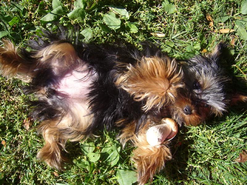 Foto: tak podrbe m� n�kdo na b��ku???