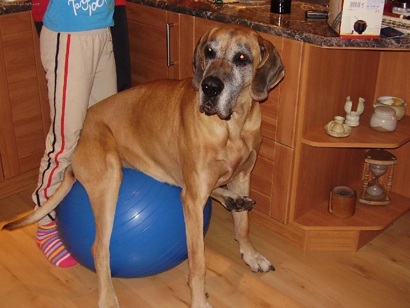 Foto: relax-Eli�ka