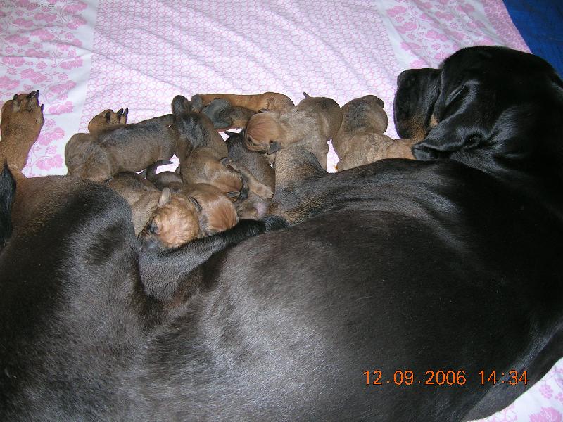 Foto: �t��ata-Tosa Centrum - �t��ata