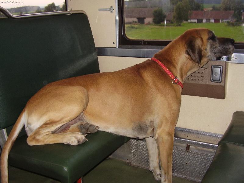 Foto: vlakem na dov�u-Eli�ka