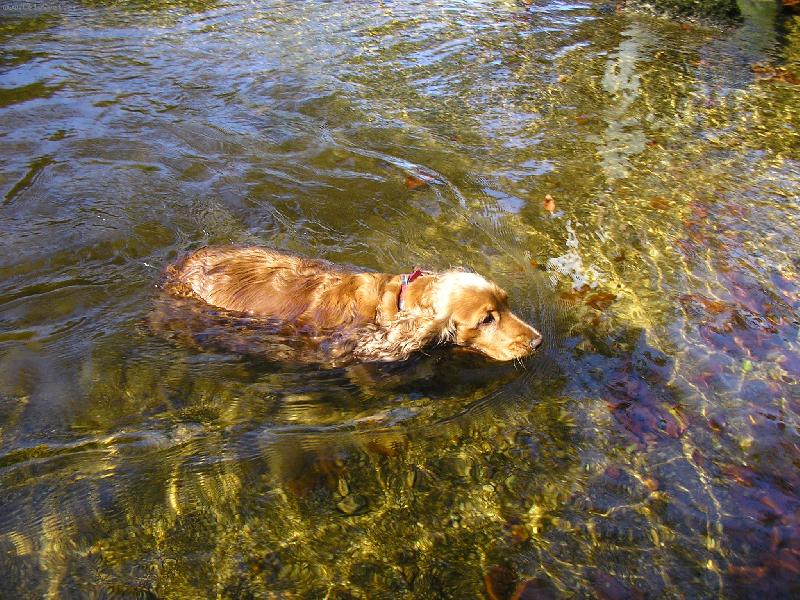 Foto: Elinka-Voda - to je n�co pro m�!!!