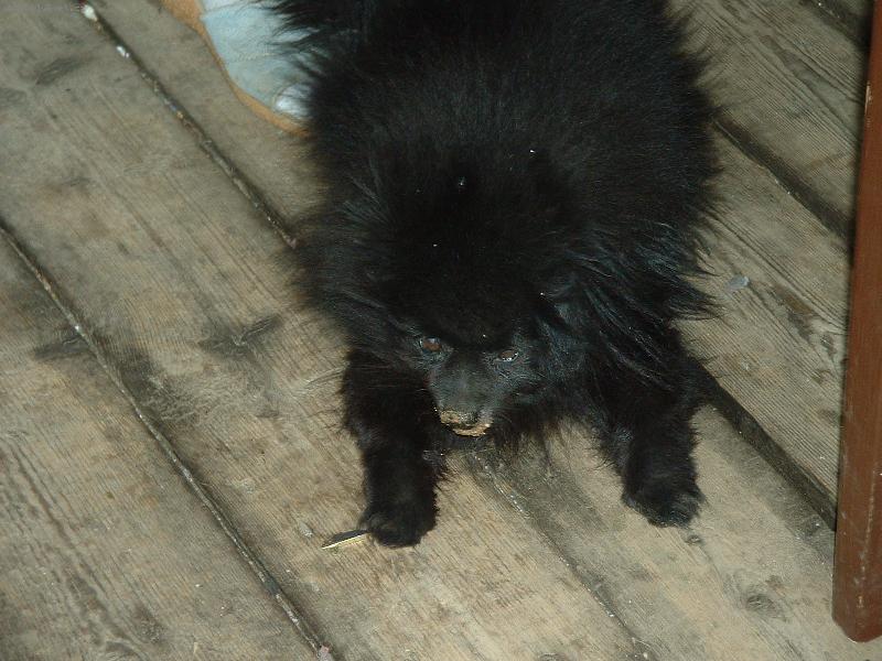 Foto: Tak to je n� ,,d�dek,, Andy...je mu 13 let