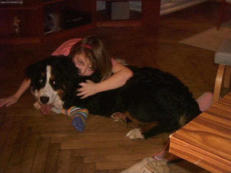 Foto: na�i pejskov�-n�kdy nev�m, kter� je ta prav�