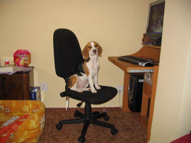 Foto: Co se v ml�d� nau��... :-)-...po��ta� je v�c slo�it�...