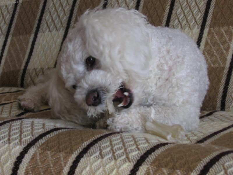 Foto: Mare�ek-Mare�ek