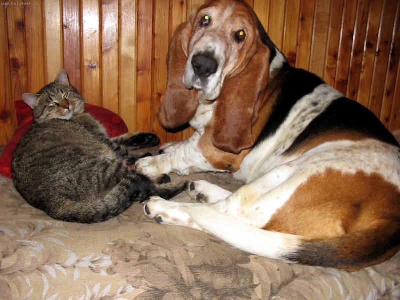 Foto: baron-m� r�d v�echny:-)