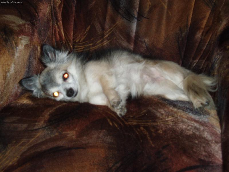 Foto: Ad�mek-pohoda, kl�dek a leh�ro