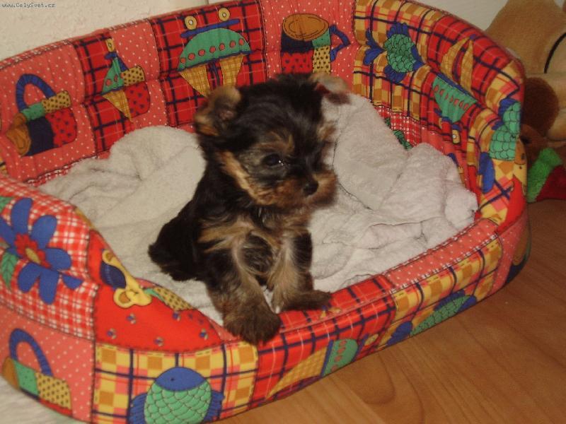 Foto: stene-kamosky riky