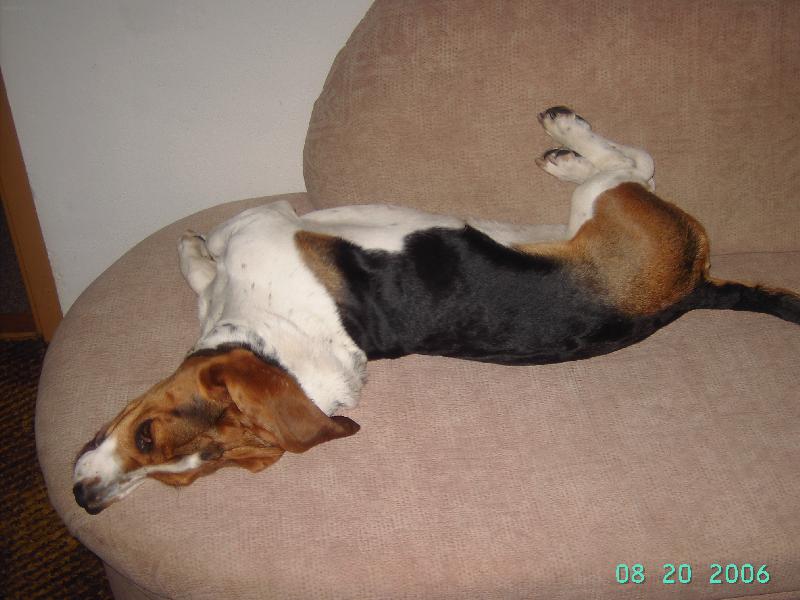 Foto: Ka�enka-Takhle si hov�m